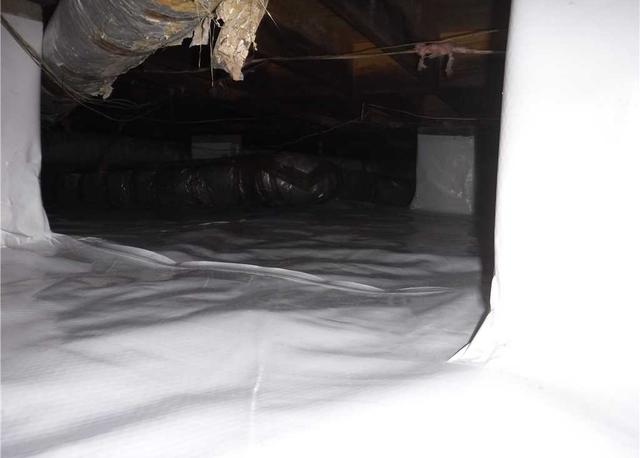 Keeping Bugs and Critters Out of the Crawl Space