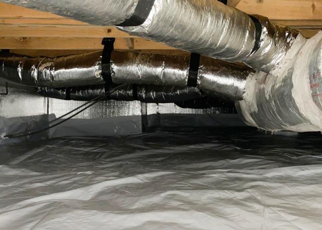 R-11 Insulation