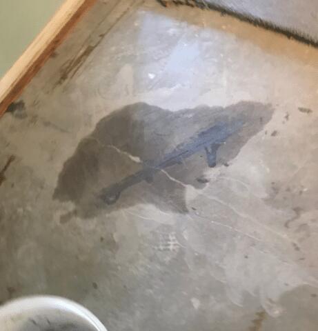 Crack Stitching Concrete Repair System: Carbon Fiber Laminates