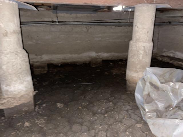 Before Crawl Space Encapsulation