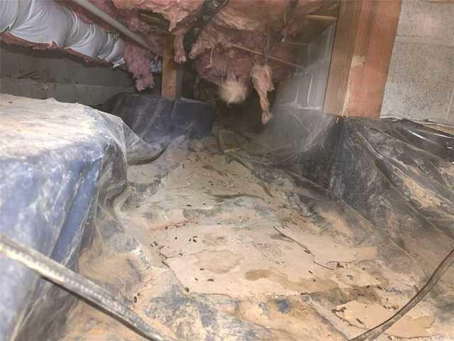 Falling Insulation over Muddy Vapor Barrier