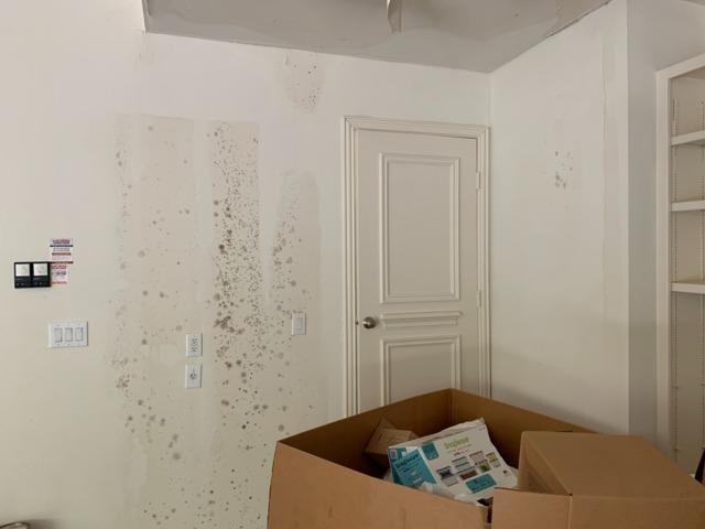 Before Mold Removal