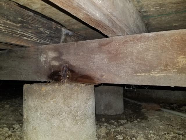 Before Crawl Space Remediation