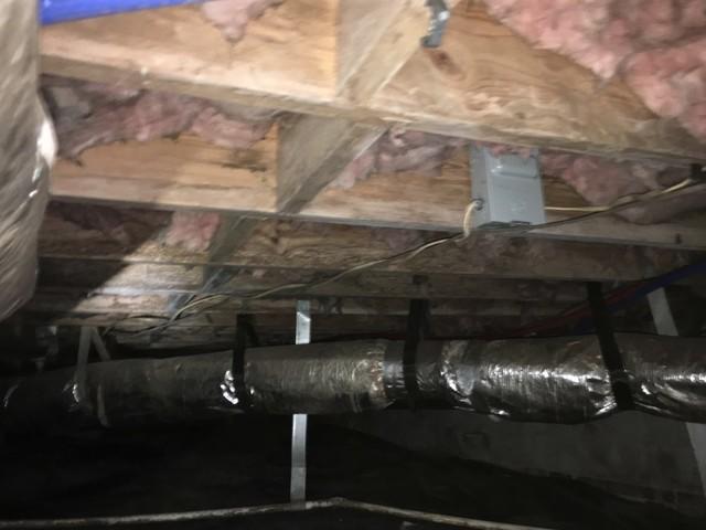 Mold Growth and Ruined Insulation
