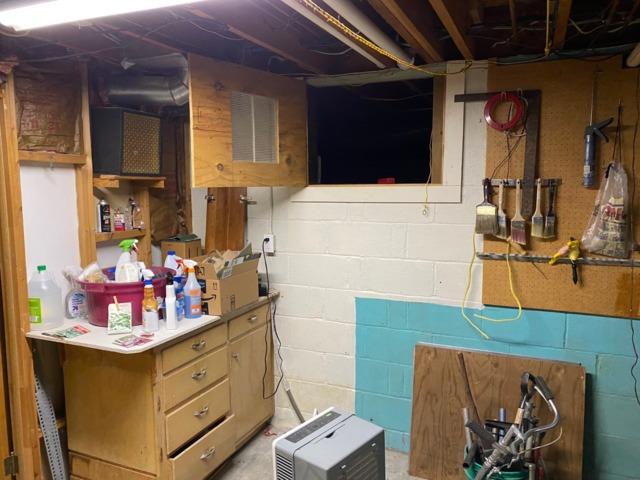 Crawlspace entrace