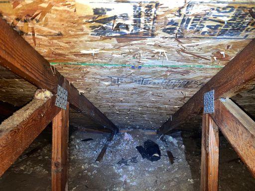 Remediated mold in attic space