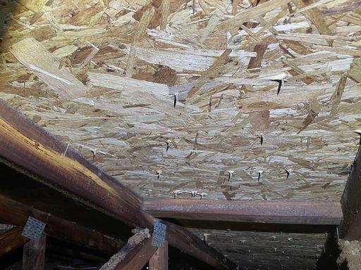 Mold on truss and sheathing