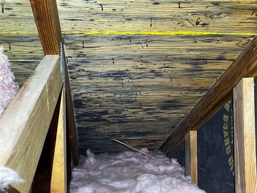 Mold on sheathing boards