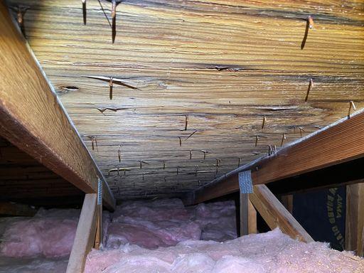 Mold on attic boards before removal