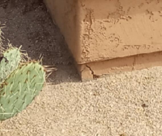 Vertical Cracks on Stem Wall in Scottsdale , AZ