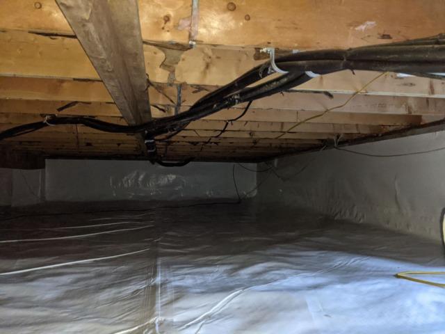 Pest Free Crawl Space