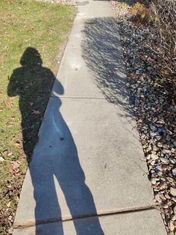 Youngstown, Ohio Sidewalk & Driveway Repair!