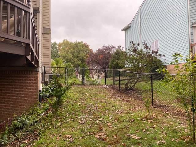 4' Black Chain Link Fence and (3) 4' gates