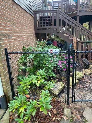 4' Black Chain Link Fence and (3) 4' gates