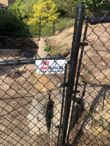 4' Black Chain Link Fence backyard