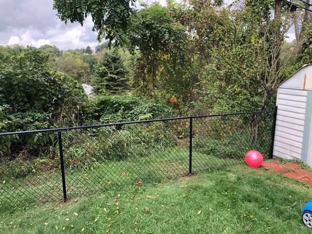 4' Black Chain Link Fence Backyard and (1) 3' gate / (1) 4' gate Installation