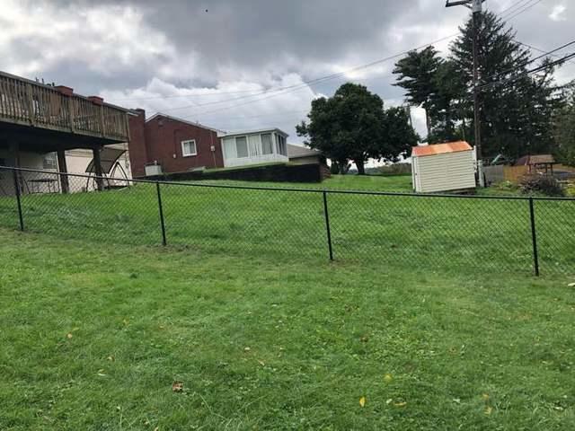 4' Black Chain Link Fence Backyard and (1) 3' gate / (1) 4' gate Installation