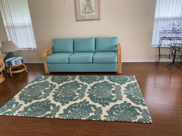 Before - couch removal