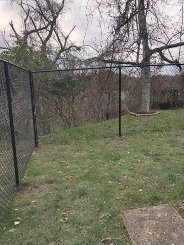 6' Black Chain Link Fence (2) 4' gates