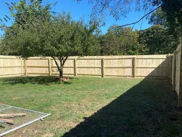 6' Natural Privacy Pressure Treated Pine backyard