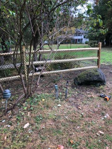 Natural Pressure Treated Pine 3 Rail Split Rail/ 4' Black Chain Link