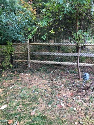 Natural Pressure Treated Pine 3 Rail Split Rail/ 4' Black Chain Link