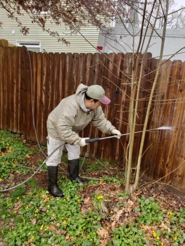 Fence Power Washing