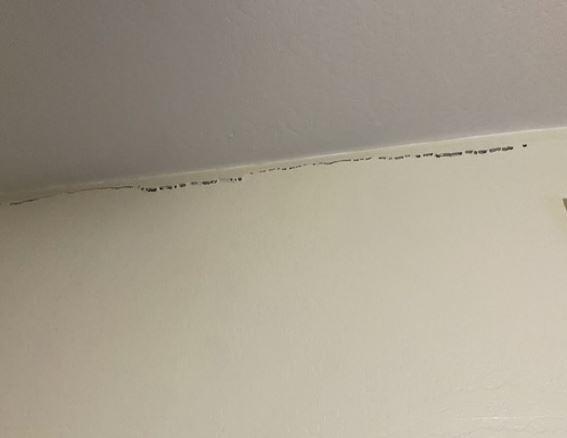 Ceiling Cracks