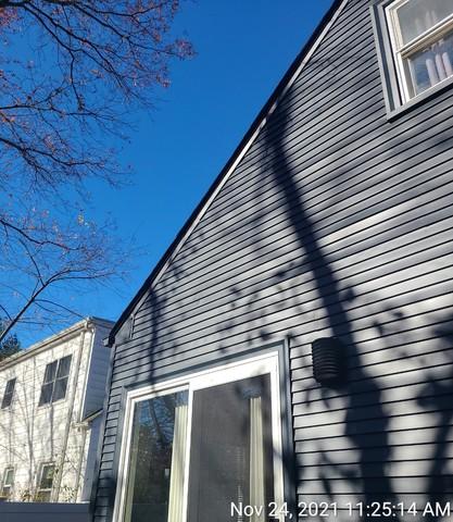 Back Exterior Siding and Frame Touch Up Results