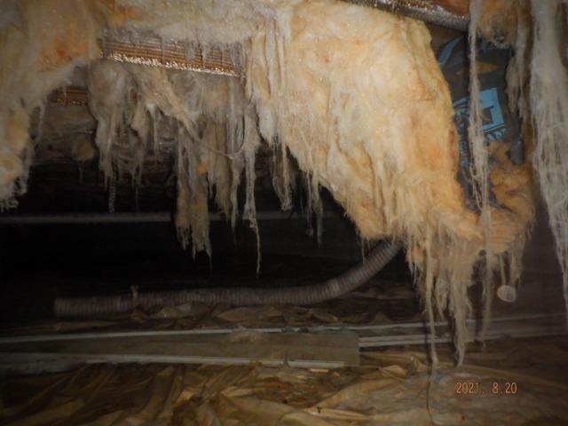 Before Reducing Moisture in Greenwood, DE Crawl Space