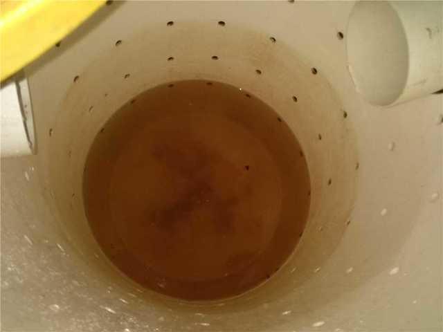 Dirty Sump Pump Before