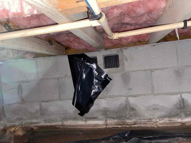 Before Waterproofing