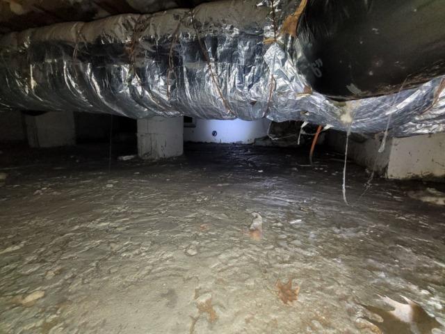 Dirty Crawl Space