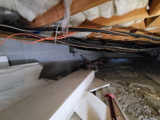 Crawl Space Before