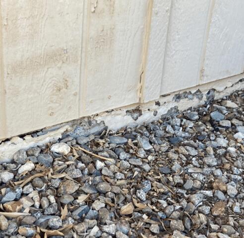 Stem Wall Failure Symptoms: Flaking Paint