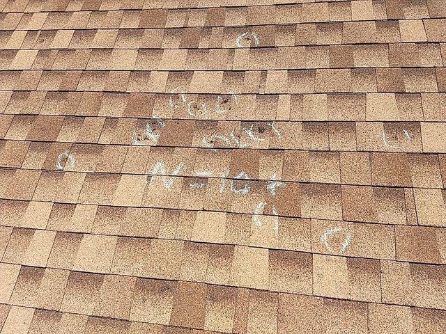 Before Photo