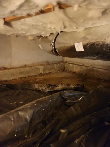 Have you noticed that your crawlspace might look like this?