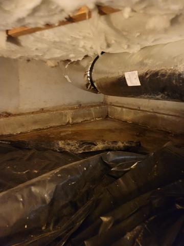 This is a perfect example of what a crawlspace looks before it is cleaned and prepped with a vapor barrier.