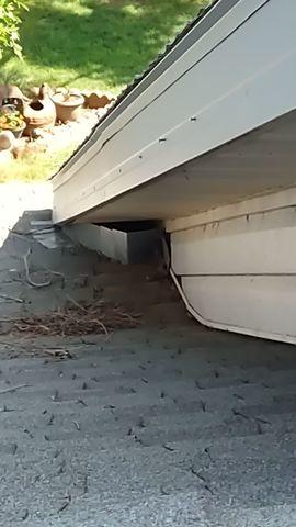 Before Replacement
