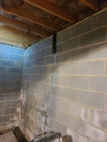 Wet and Bowing Wall