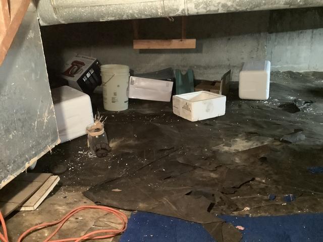 Relieving stress of clearing an estate, one item at a time.