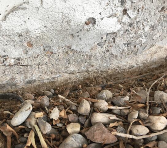 Horizontal Concrete Cracks in Stem Wall at Glendale, Arizona