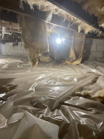 Falling Insulation in Greenwood, DE Crawl Space