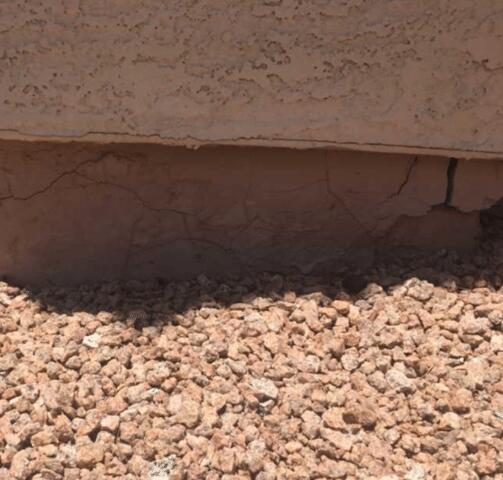 Horizontal Concrete Cracks in Stem Wall