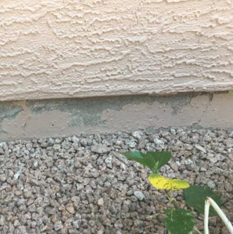 Flaking Paint in Stem Wall