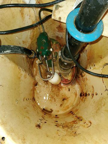 Sump Pump Cleaned
