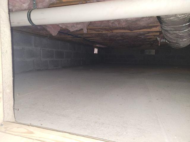 This crawl space is the perfect environment for pests and critters to make their home. We suggest encapsulating your crawl space to avoid any issues.