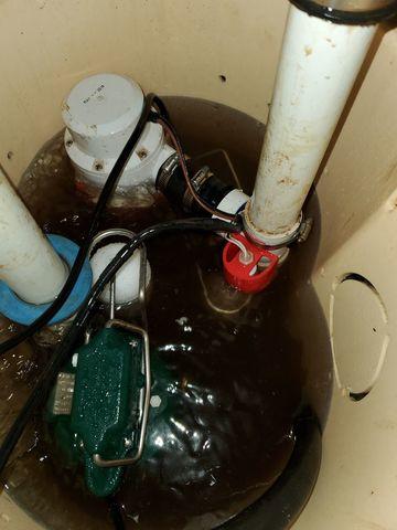 Dirty Sump Pump Before