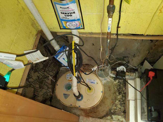 TripleSafe Sump Pump