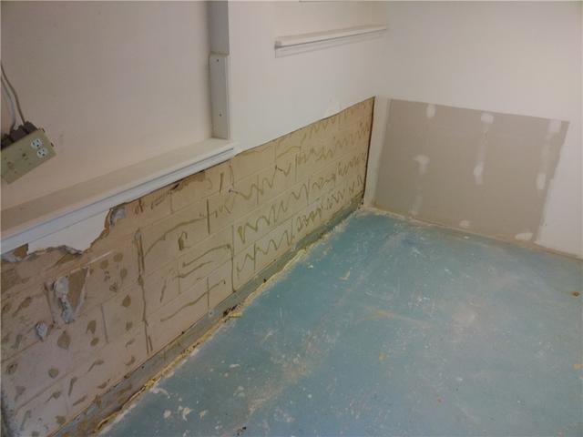 Damp Basement Before